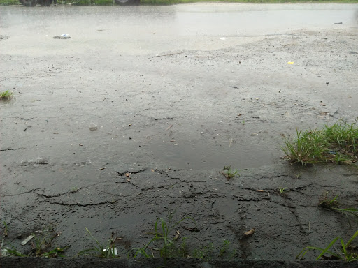 Công ty CP In Viễn Đông