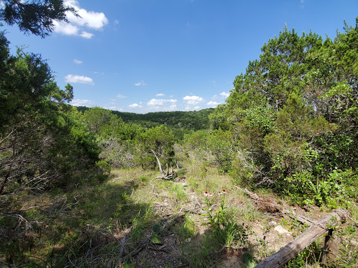 Park «Wild Basin Wilderness Preserve», reviews and photos, 805 N Capital of Texas Hwy, Austin, TX 78746, USA