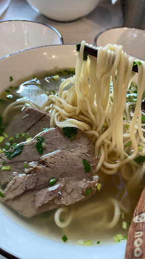 Signature beef noodle