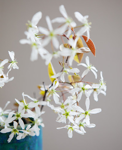 Psychologische Praxis Maile | Paarberatung | Elternberatung - Psychologe