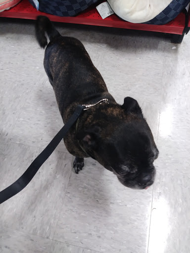 Pet Supply Store «Petco Animal Supplies», reviews and photos, 3731 Gateway Dr, Eau Claire, WI 54701, USA