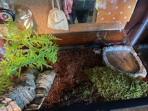 Pet Supply Store «Pet Supplies Plus», reviews and photos, 5708 State St, Saginaw, MI 48603, USA