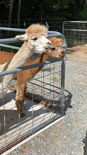 Zoo «The Petting Zoo at Breezeway Farm», reviews and photos, 161 Anawana Lake Road, Monticello, NY 12701, USA