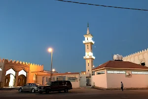 Al Zaid Grand Mosque image