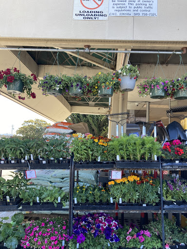 Hardware Store «Salinas Ace Hardware», reviews and photos, 1215 S Main St, Salinas, CA 93901, USA