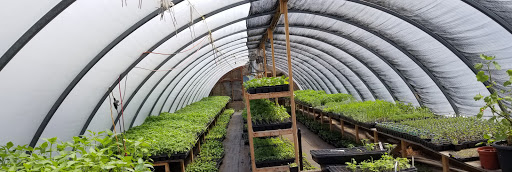 Gaia Organics Plant Center