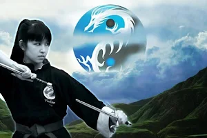 Norwich Kung Fu Academy - Clover Hill image