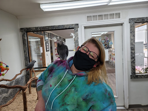 Bird Shop «Wholesale Bird & Cage LLC», reviews and photos, 1805 Ford Ln, St Charles, MO 63303, USA