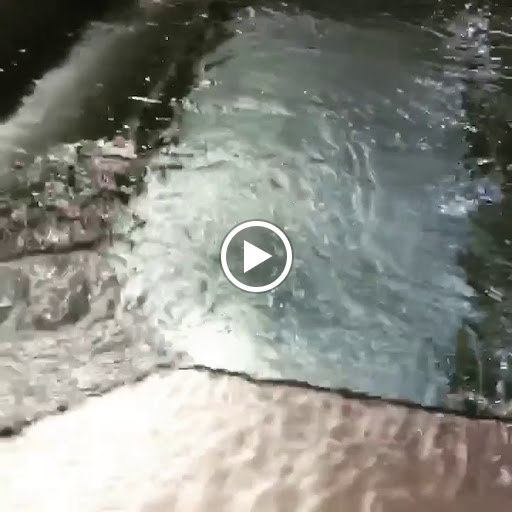 Recreation Center «Cleveland Fitness Club», reviews and photos, 6600 W 130th St, Middleburg Heights, OH 44130, USA