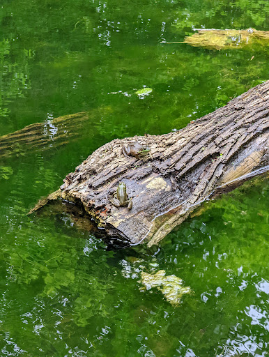 Nature Preserve «Fox Bluff Conservation Area», reviews and photos, Cold Springs Rd, Algonquin, IL 60102, USA