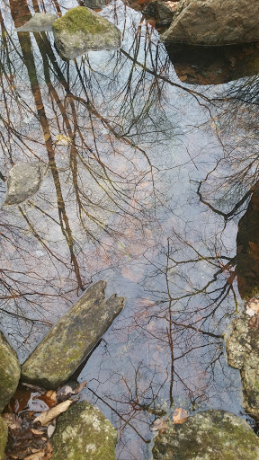 Nature Preserve «Cotton Hollow Preserve», reviews and photos, 493 Hopewell Rd, South Glastonbury, CT 06073, USA