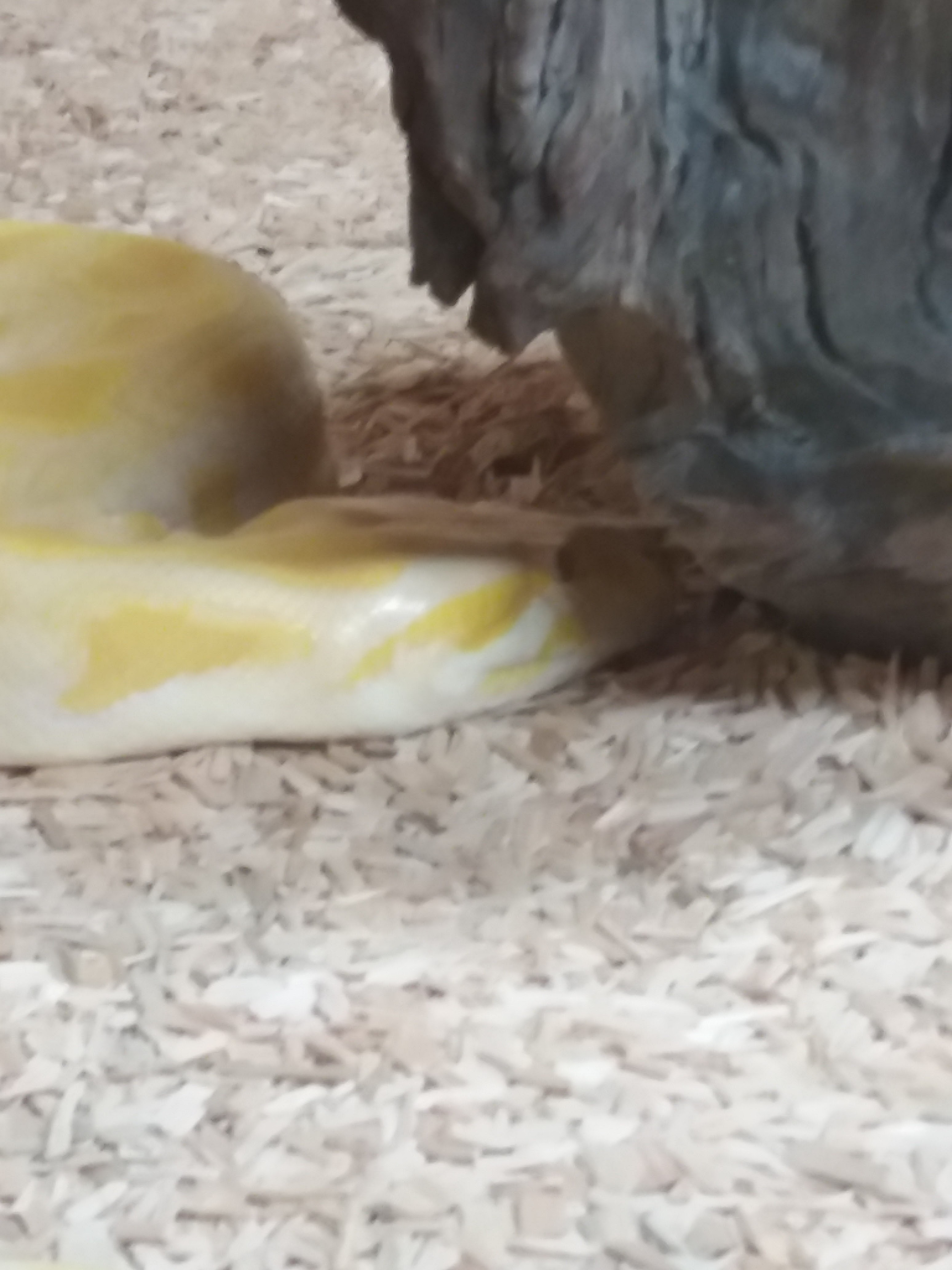 Photo n° 39 de l'avis de Damien.i fait le 21/08/2017 à 19:35