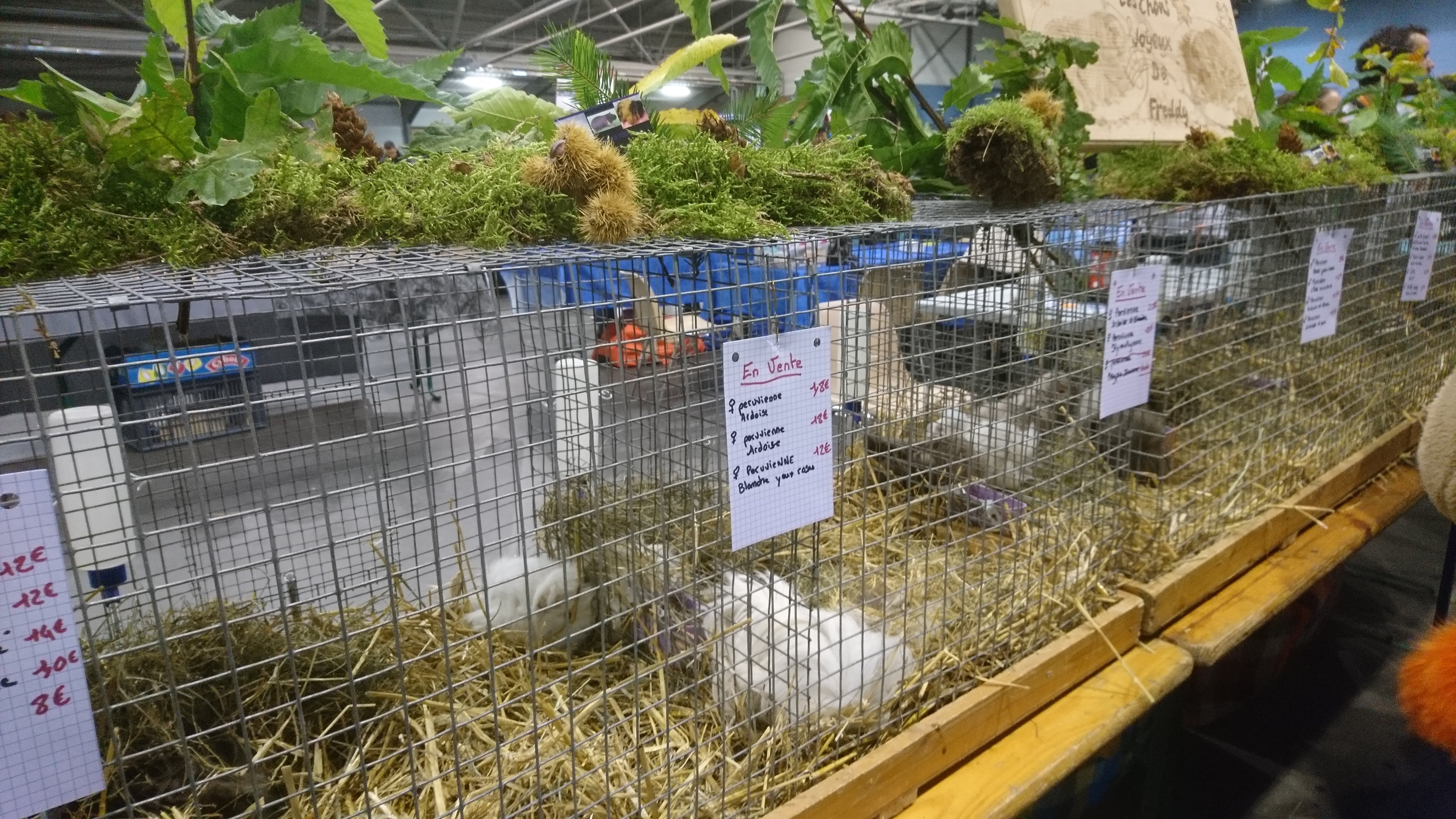 Photo n° 3 de l'avis de Francis.g fait le 05/09/2018 à 16:30