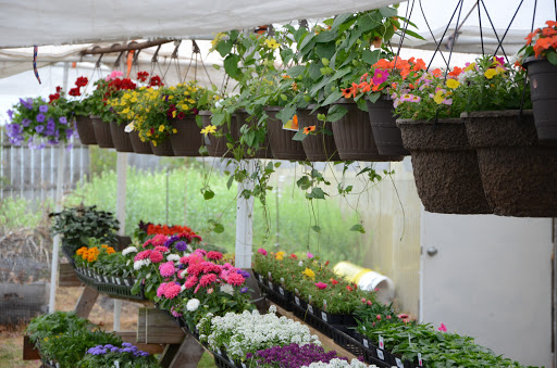 Florist «Powell the Florist», reviews and photos, 1215 Liberty Dr, Mishawaka, IN 46545, USA