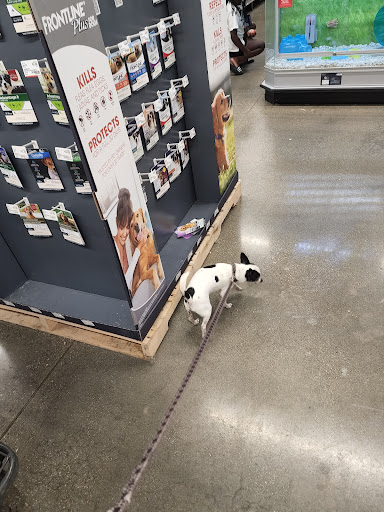 Pet Store «PetSmart», reviews and photos, 160 Passaic Ave #5, Kearny, NJ 07032, USA