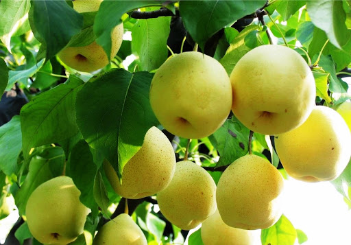 Grocery Store «Narin Market LLC», reviews and photos, 759 Potters Ave, Providence, RI 02907, USA