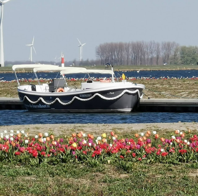 Borrelboot Harderwijk