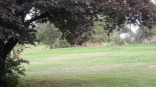 Shopping Mall «North End Shopping Center», reviews and photos, 1300 N Charlotte St, Pottstown, PA 19464, USA