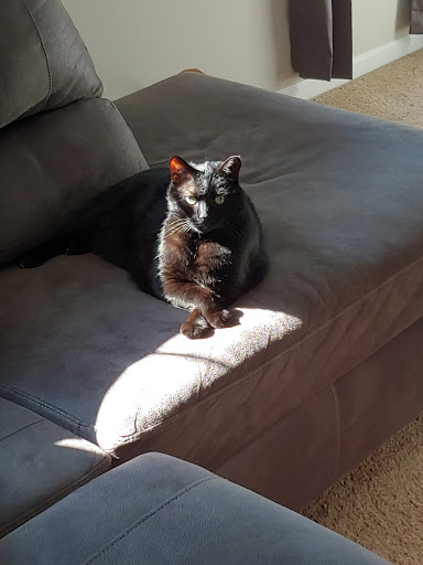 91 N Lake St, Madison, OH 44057, USA