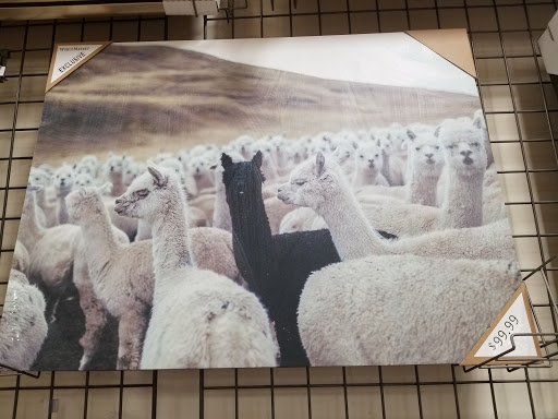 Furniture Store «Cost Plus World Market», reviews and photos, 1565 Golden Gate Plaza, Mayfield Heights, OH 44124, USA