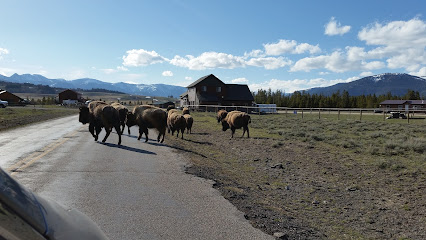 Yellowstone Mountain Guides