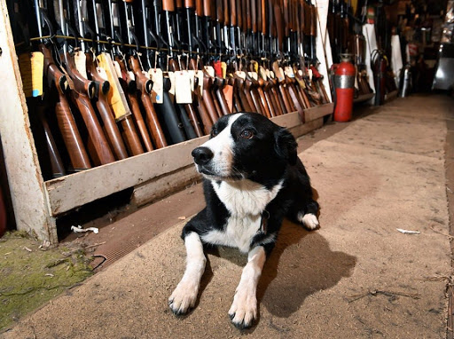 Gun Shop «Butter-nut Sport Shop», reviews and photos, 1103 Lodi St, Syracuse, NY 13203, USA