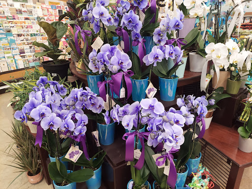 Grocery Store «Safeway», reviews and photos, 660 Bailey Rd, Bay Point, CA 94565, USA