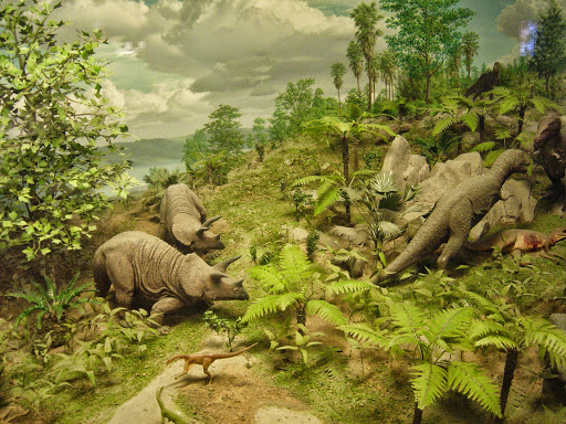 Gift Shop «Smithsonian Museum of Natural History Gift Shops», reviews and photos, 10th St NW & Constitution Avenue Northwest, Washington, DC 20004, USA