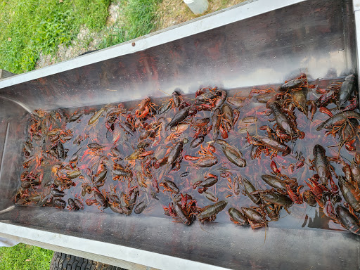 Reagan Roundup Bar & Grill