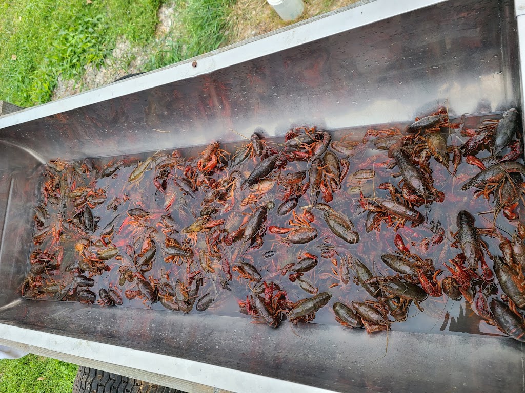 Reagan Roundup Bar & Grill 76680