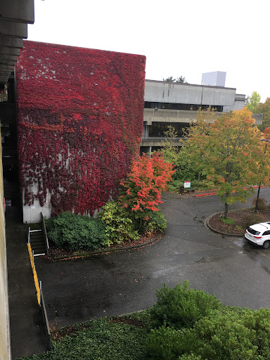 Book Store «North Seattle College Official Bookstore», reviews and photos, 9600 College Way N, Seattle, WA 98103, USA