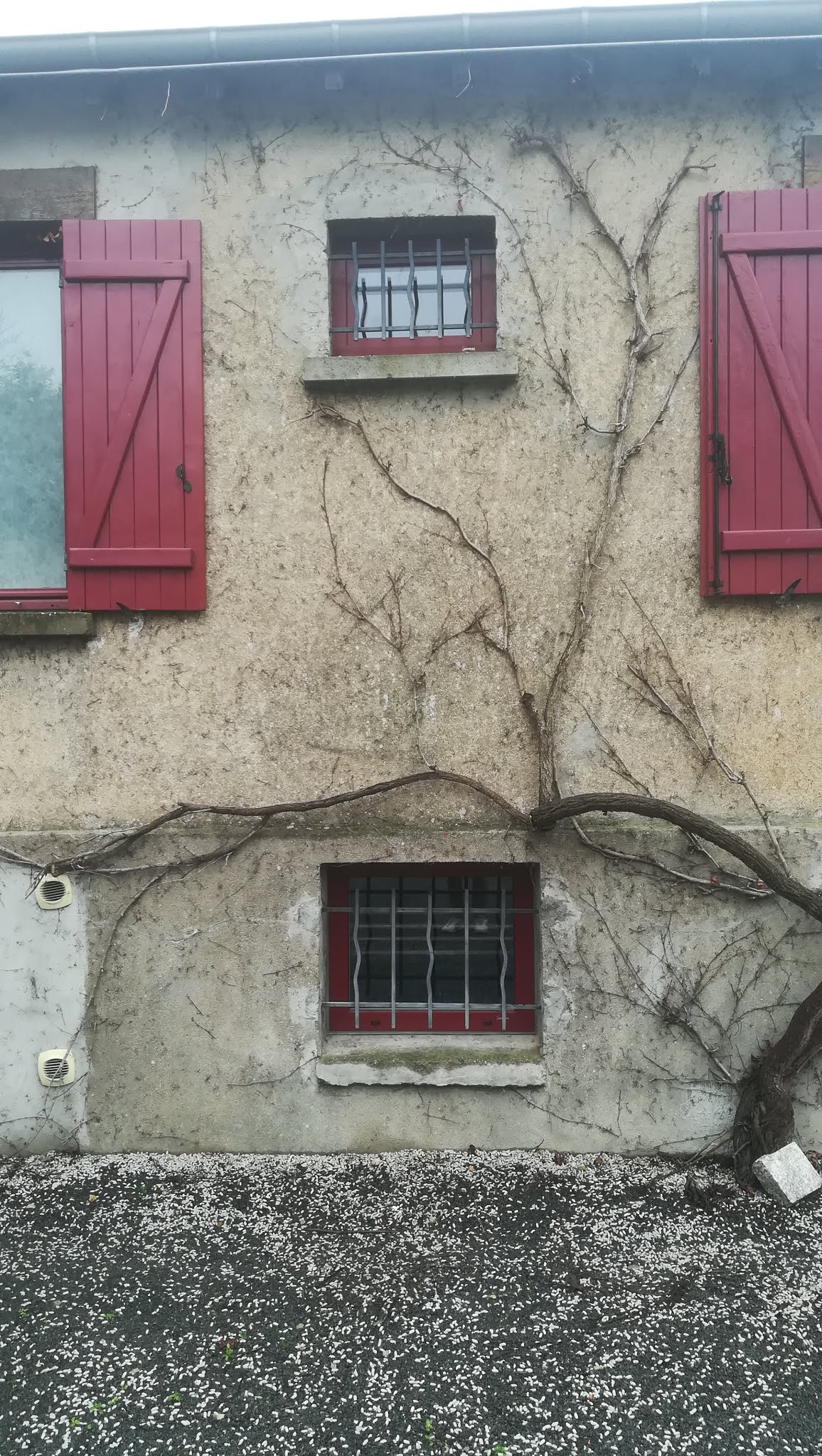Photo n° 1 de l'avis de Guillaume. fait le 31/01/2020 à 16:41