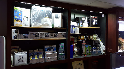 Pet Store «Sho Tank Aquariums», reviews and photos, 433 N Lake St, Mundelein, IL 60060, USA