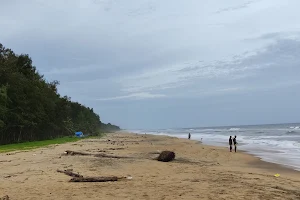 Kothakulam Beach image