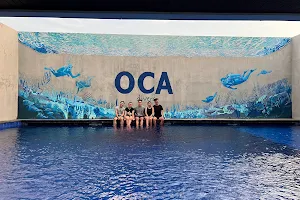 OCA Divers image