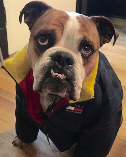 Thrift Store «Lucky Dog Clothing», reviews and photos, 8201 Greenwood Ave N, Seattle, WA 98103, USA