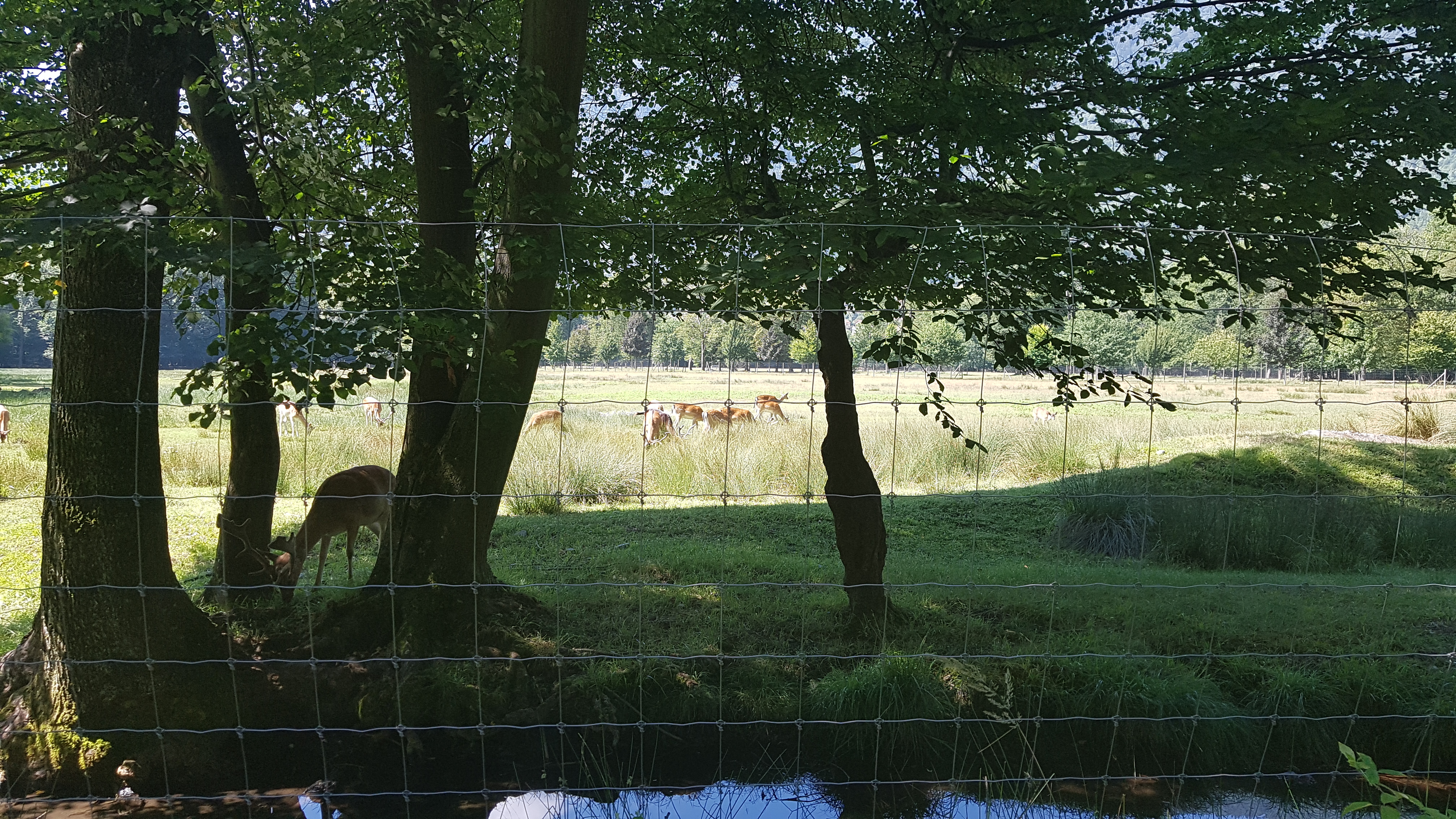 Photo n° 29 de l'avis de Jean-Louis. fait le 13/08/2019 à 17:10