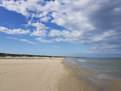 Zdjęcie Marina Romea Beach - popularne miejsce wśród znawców relaksu