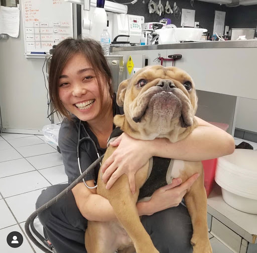 South Orange County Animal Hospital image