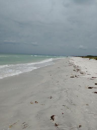 Boat Tour Agency «Dolphin Snorkeling Cruise», reviews and photos, 4630 29th Ave S, Gulfport, FL 33711, USA