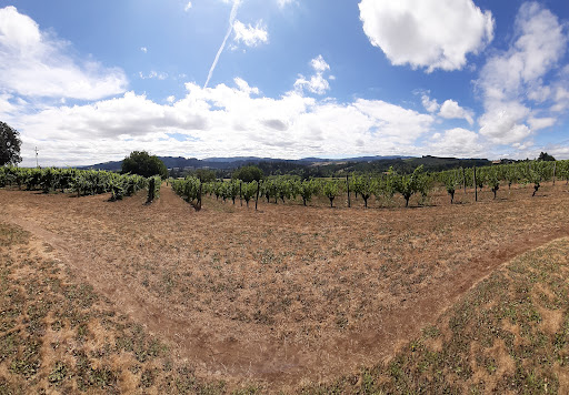 Vineyard «Tualatin Estate Vineyard», reviews and photos, 10850 NW Seavey Rd, Forest Grove, OR 97116, USA