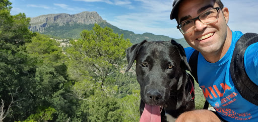 Clínica Veterinaria Lloseta en Lloseta