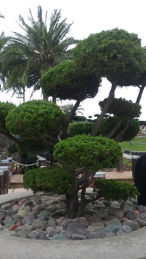 Amusement Center «Golf N Stuff», reviews and photos