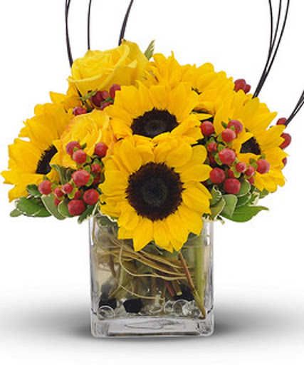 Florist «Amazing Flowers», reviews and photos, 4745 N Central Ave, Phoenix, AZ 85012, USA