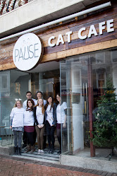 Pause Cat Café