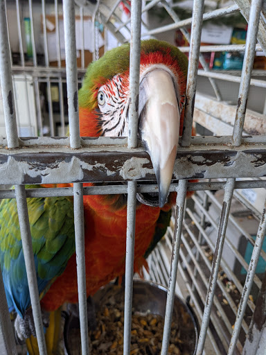 Pet Supply Store «The Village Pet Shoppe, LLC», reviews and photos, 1150 Carlisle St, Hanover, PA 17331, USA