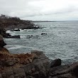 Back Cove Trail