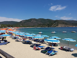 Marina di Campo Plajı'in fotoğrafı çok temiz temizlik seviyesi ile