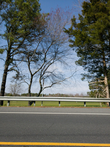 Public Golf Course «Hamilton Trails Golf Club», reviews and photos, 620 Harbor Ave, Mays Landing, NJ 08330, USA