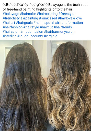 Hair Salon «Hair Harmony Salon», reviews and photos, 46400 Benedict Dr #9, Sterling, VA 20164, USA